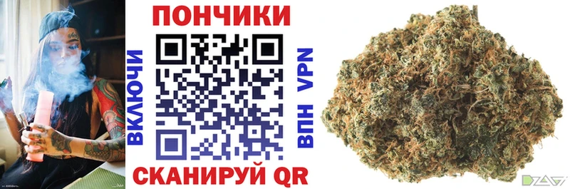 Шишки марихуана OG Kush Сортавала